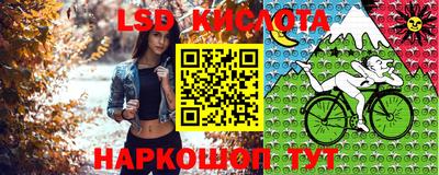 крисы Тулун