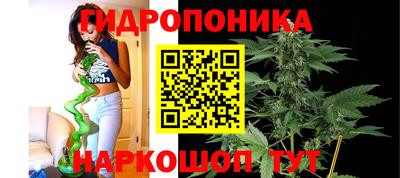 крисы Тулун