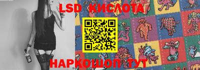 крисы Тулун