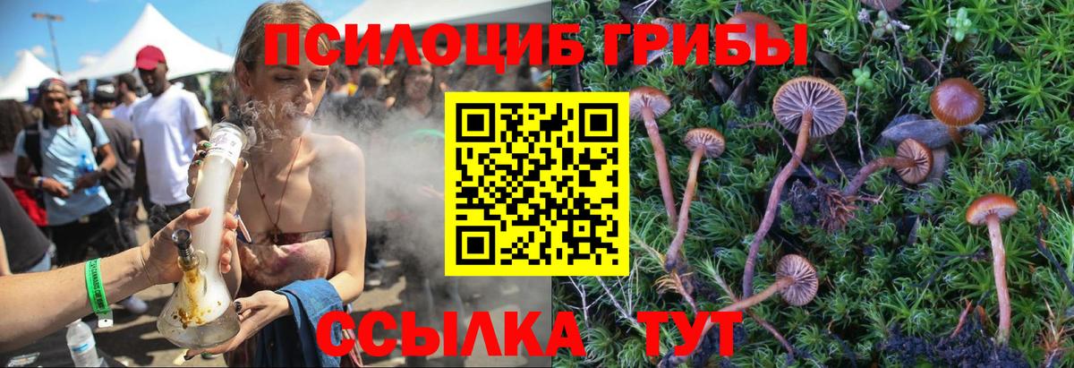 Галлюциногенные грибы Magic Shrooms  Вход с VPN  Муравленко 