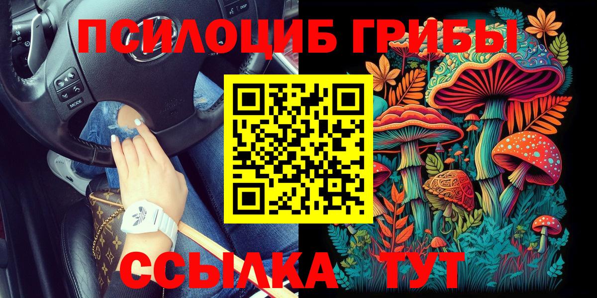 Псилоцибиновые грибы Psilocybe Муравленко